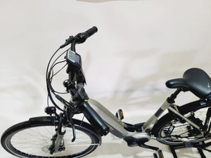 Thompson Comfort Bosch Active Line Plus Middenmotor 500Wh! Lage instap Zwart Zilver 51cm