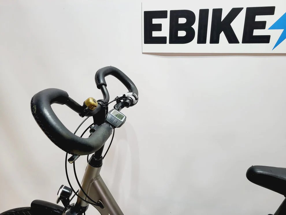 Trek TM 1+ Bosch Active Line Middenmotor Lage instap Goud 55cm
