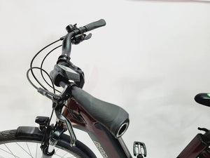Bergamont E-Horizon Bosch Active Line Plus Middenmotor Lage instap Bordeaux 50cm M