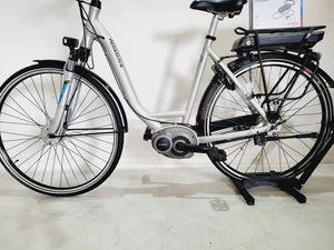 Pegasus Siena Bosch Active Line Middenmotor Lage instap Zilver 55cm M
