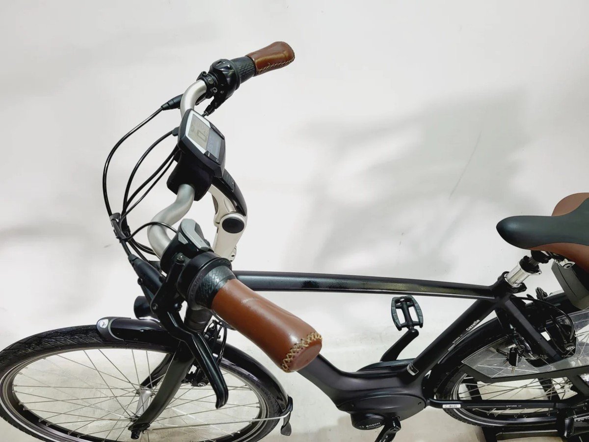 Gazelle Grenoble C7+ Bosch Active Line Plus Middenmotor, Zwart