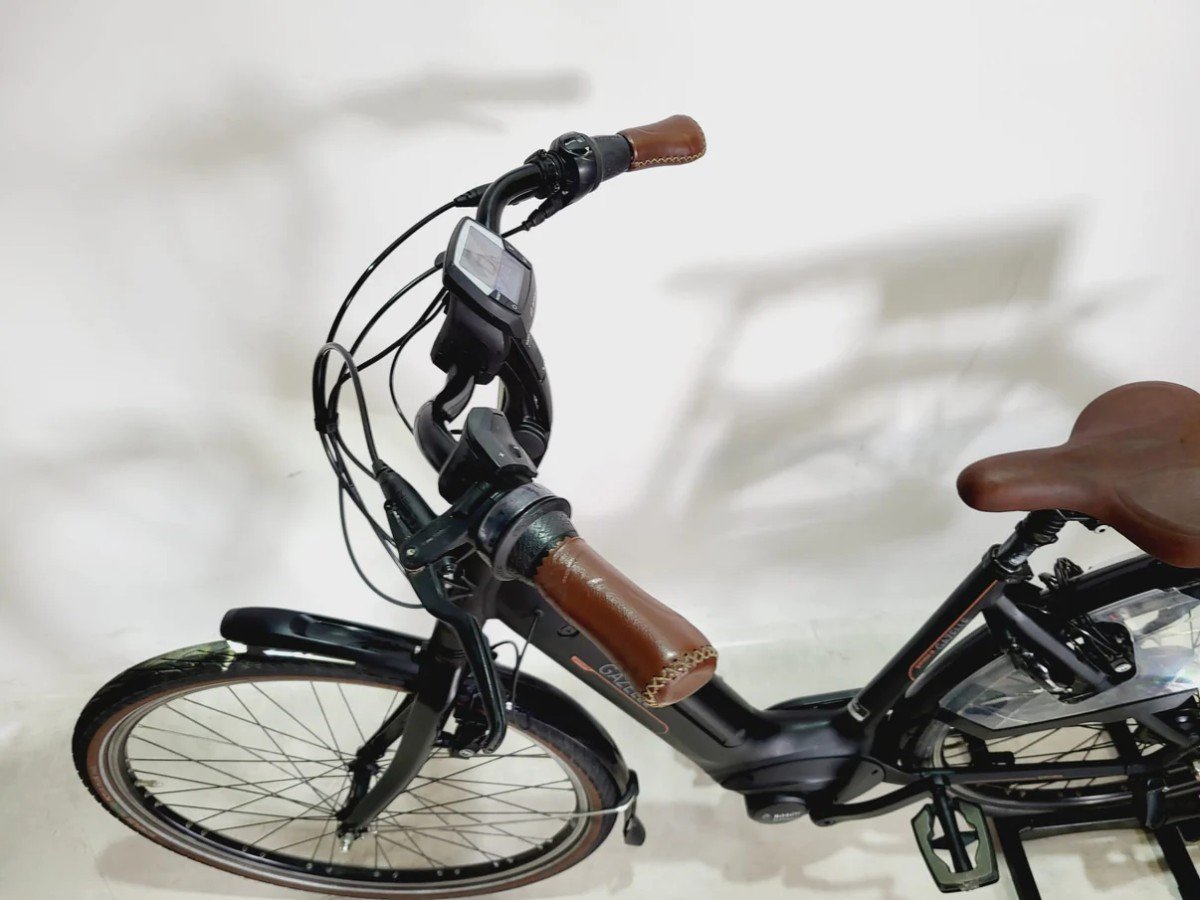 Gazelle Grenoble C8 Bosch Active Line Plus Middenmotor, Zwart