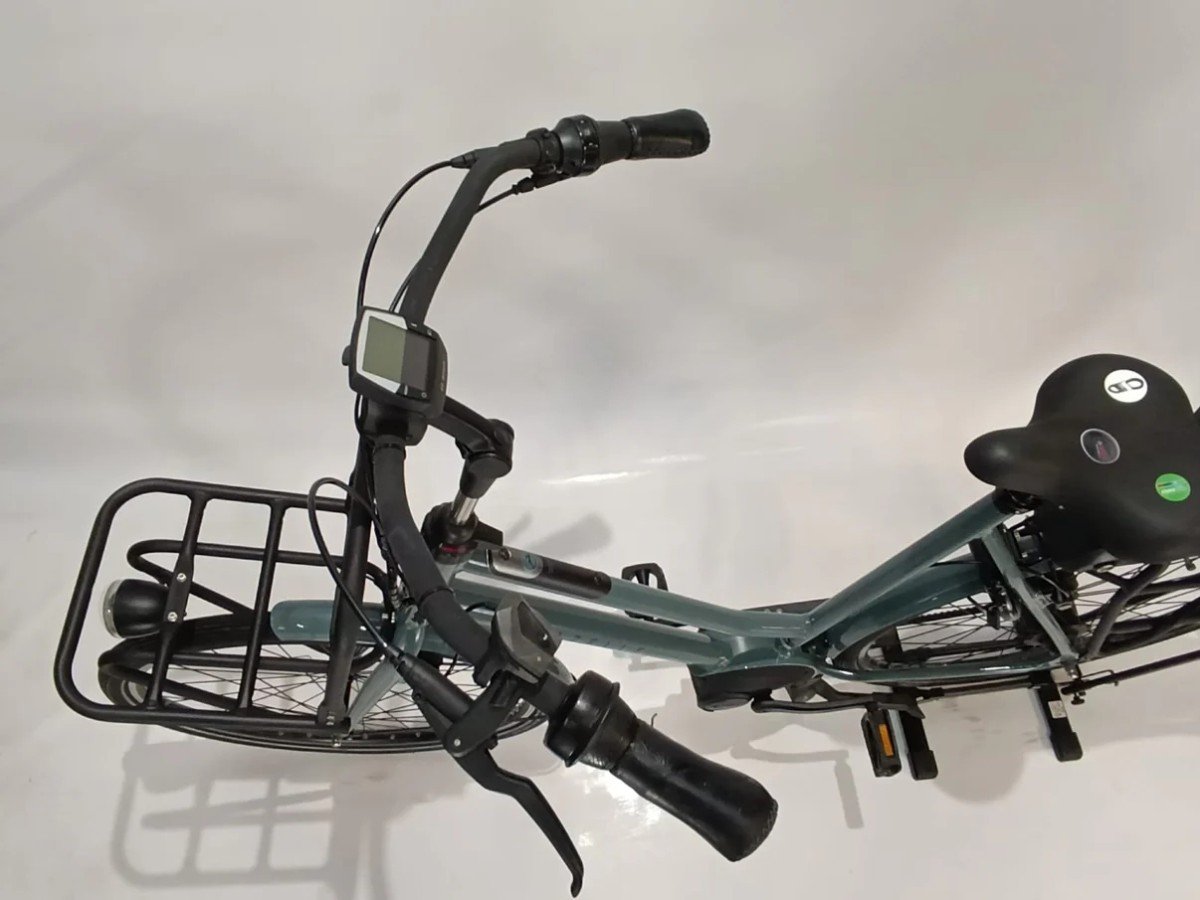 Gazelle Heavy Duty Bosch Perf Line MM BD Transporfiets, Groen