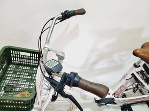 Gazelle Miss Grace Bosch Active Line Middenmotor Transporf Dames Rose 59cm