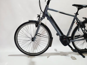 Pegasus PREMIO EVO 10 Bosch Perfomance Line CX Middenmotor Heren Grijs 58cm M