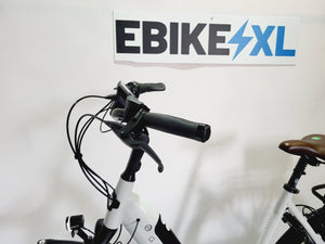 Gazelle Grenoble C7+ Bosch Active Line Plus Middenmotor