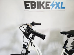 Riese & Müller Swing Bosch Active Line Middenmotor 26'