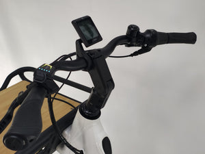 NIEUW Bergamont e-Cargoville Bakery Expert Bosch Performance Line Middenmtor 500Wh!