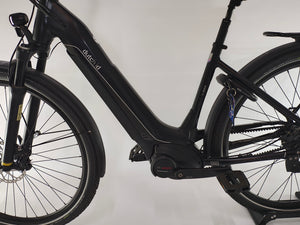 Dutch ID Infinity GT Bosch Performance Line Middenmotor 500Wh Belt-Drive! met Enviolo