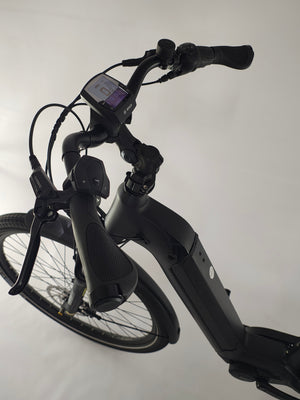 Flyer Gotour 6 Bosch Active Line Plus Middenmotor Belt-Drive 500Wh!