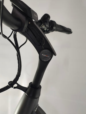 Pegasus Ravenna EVO 5 Belt Bosch Performance Line Middenmotor 500Wh!