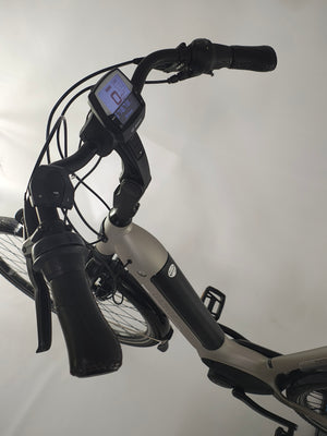 Gazelle Arroyo C8 elite Bosch Active Line Plus Middenmotor 500Wh!