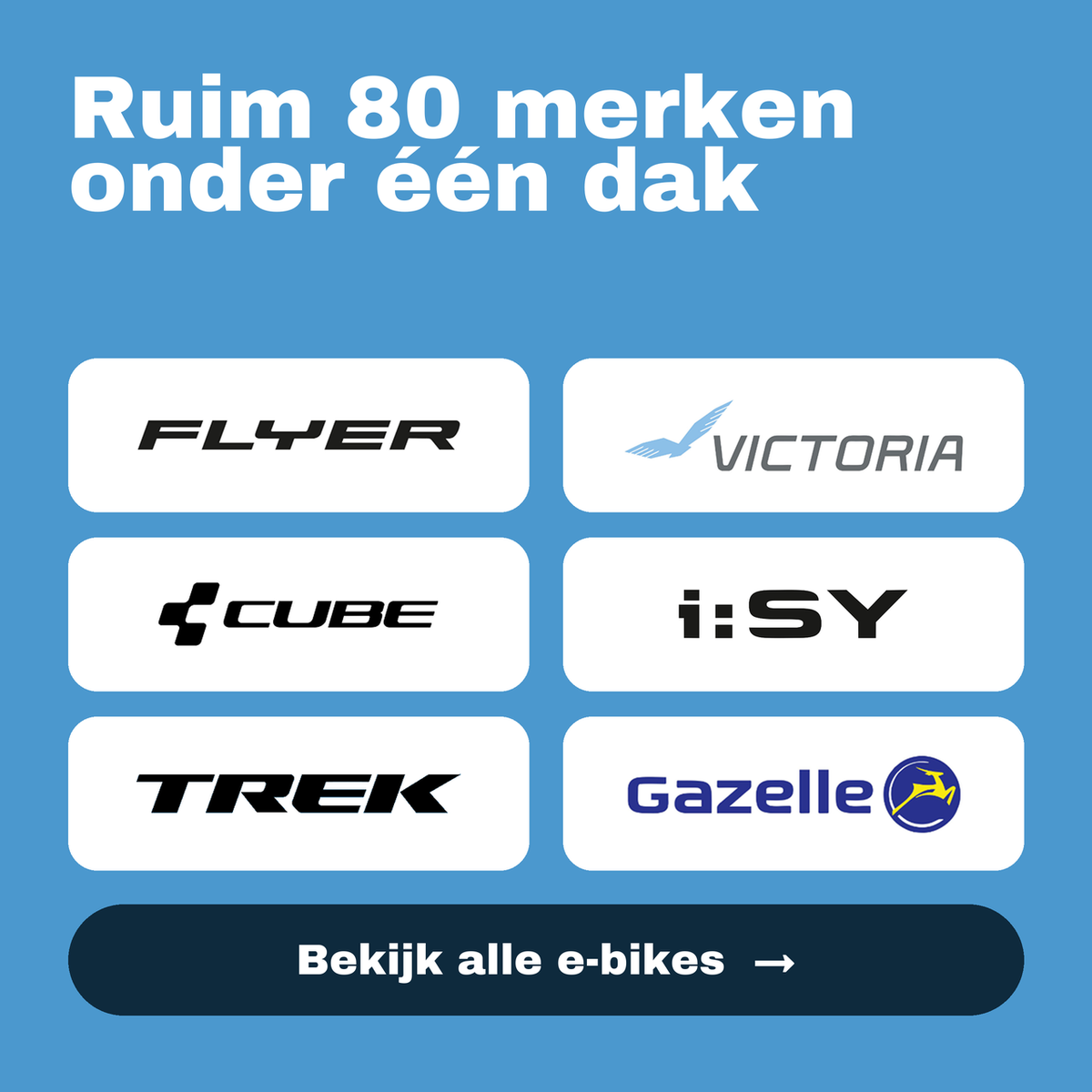Ruim 80 merken onder één dak, onder andere Flyer, Victoria, Cube, i:SY, Trek en Gazelle